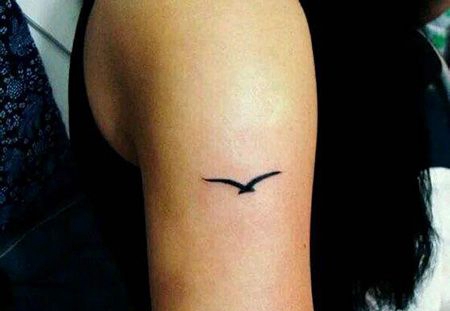 大臂黑色海鸥纹身图片