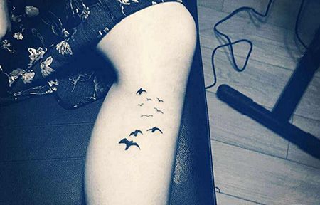 小腿小清新海鸥纹身图片
