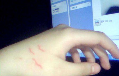 虎口海鸥纹身图片