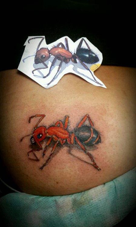 臀部红蚂蚁纹身图片