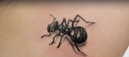 肩部黑色蚂蚁纹身图片