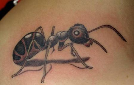 肩部卡通蚂蚁纹身图片