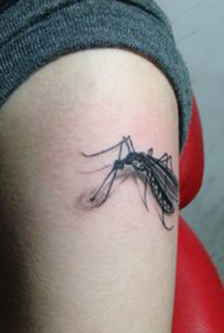 手臂蚊子纹身图片