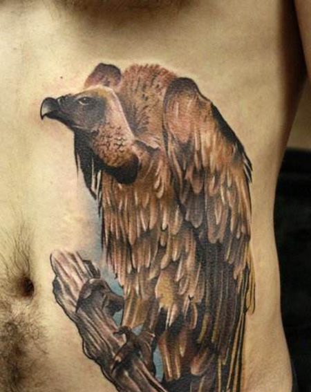 腹部秃鹫纹身图片