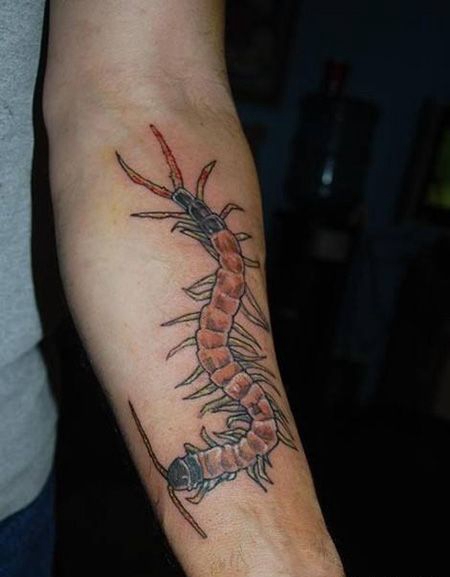 手臂内侧红色蜈蚣纹身图片