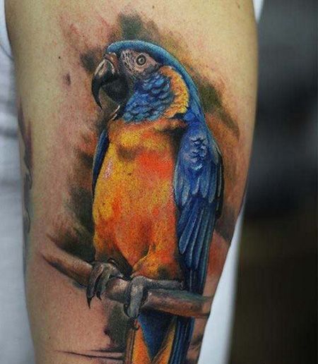 手臂精美鹦鹉纹身图片