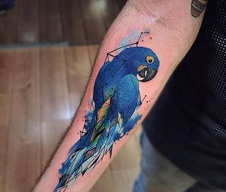 手臂创意蓝色鹦鹉纹身图片