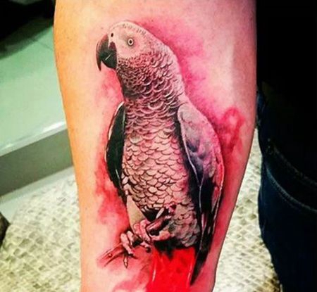 男士手臂鹦鹉纹身图片