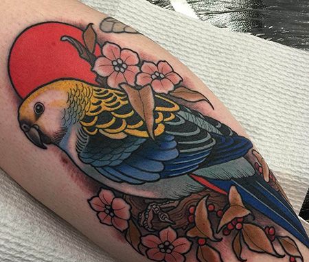 小腿鹦鹉太阳纹身图片