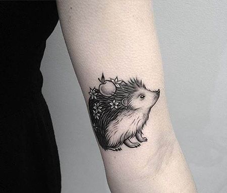 手臂刺猬顶着水果的纹身图片