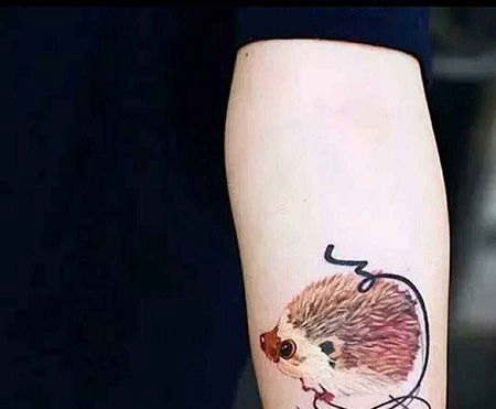 手臂刺猬和线纹身图片