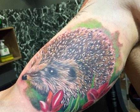 大臂个性的刺猬纹身图片