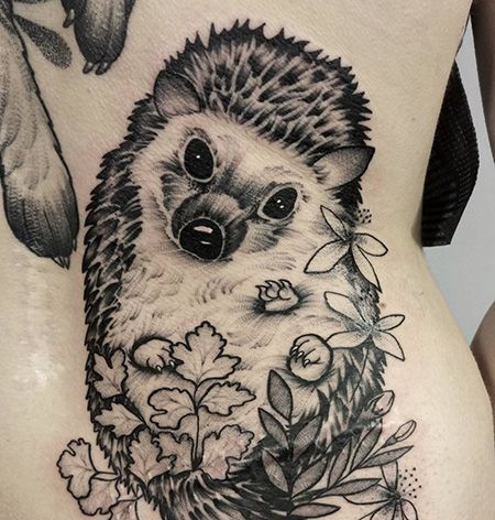 女生腰部刺猬纹身图片