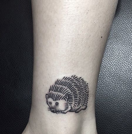 脚踝刺猬纹身图片