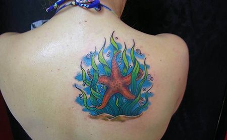 女生背部海星海草纹身图片