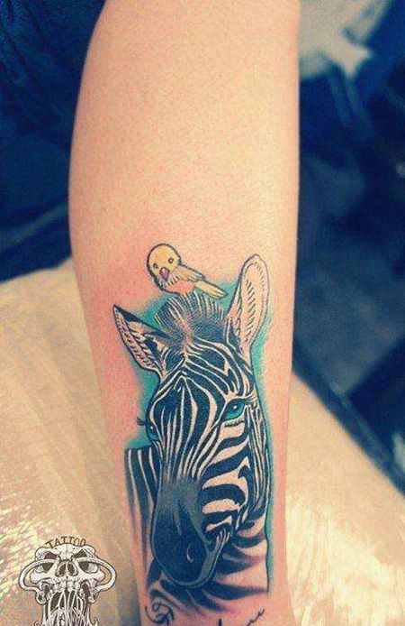 小腿斑马黄鸟纹身图片