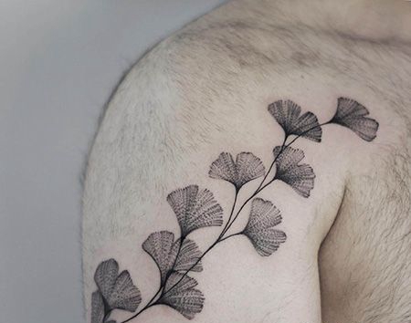 男士肩部银杏叶纹身图片