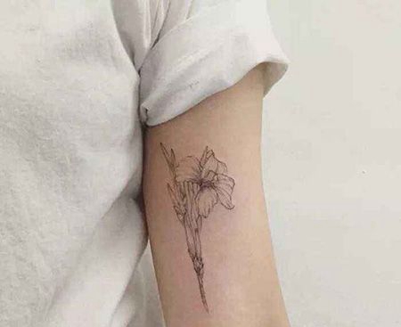 大臂线条鸢尾花纹身图片