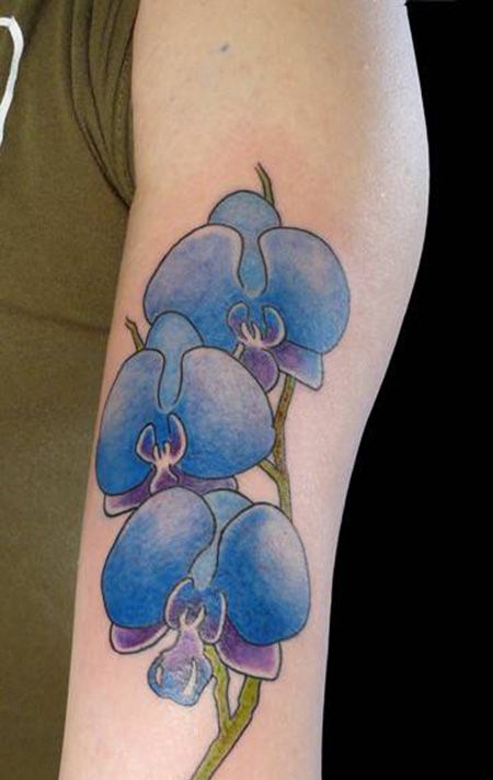 大臂蓝色蝴蝶兰纹身图片