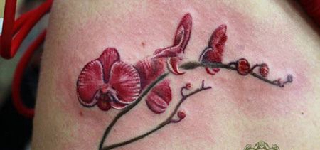 腹部红色蝴蝶兰纹身图片