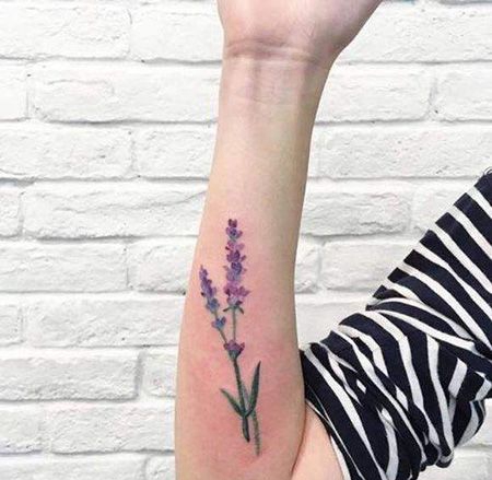 手臂水墨薰衣草纹身图片