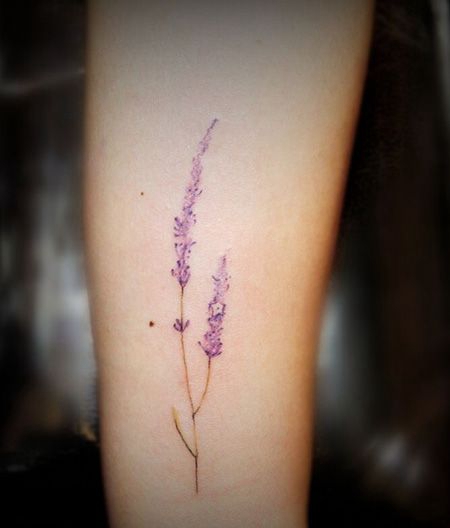 大臂薰衣草纹身图片