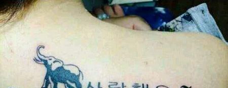 女生肩部小象和韩文纹身图片