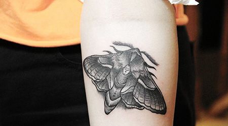 手臂飞蛾纹身图片