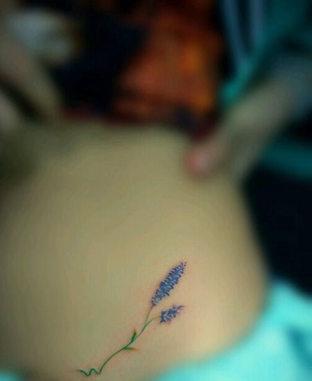 女生腹部薰衣草纹身图案