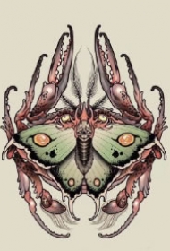 很有创意的一组newschool彩色动物纹身手稿图片