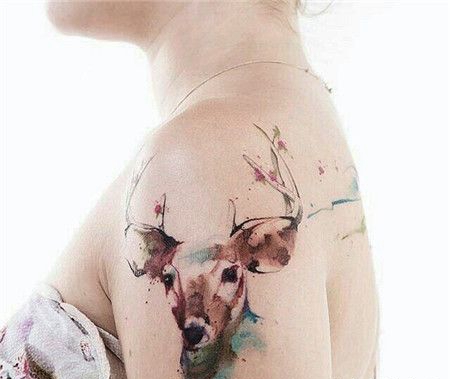 女生左小臂小鹿局部特写纹身