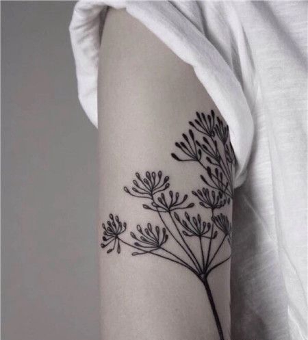 休闲女生大臂小清新草纹身图片
