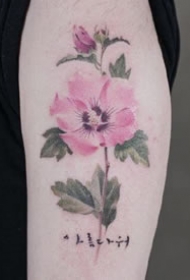 一组水彩花朵纹身图案欣赏