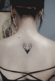 一组有各自特色的小清新纹身