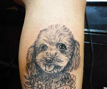 小腿泰迪犬和丝带纹身图案