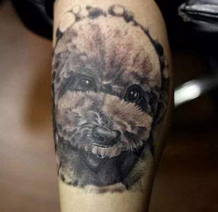 小腿可爱的泰迪犬纹身图案