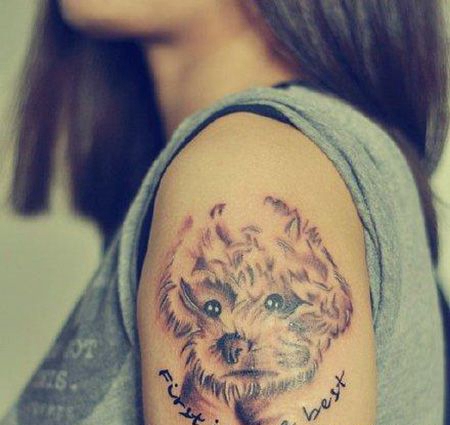 女生大臂泰迪犬纹身图案