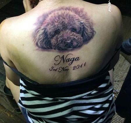 女生背部贵宾犬纹身图案
