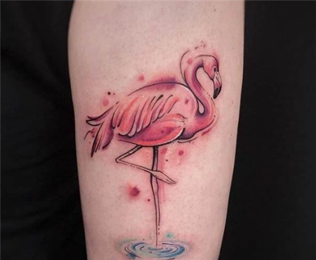 水中火烈鸟水彩纹身图案