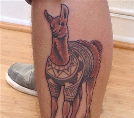 小腿棕色无峰骆驼纹身图案