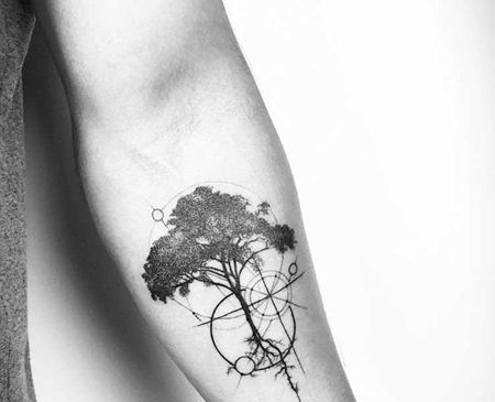 几何 小臂内侧 树