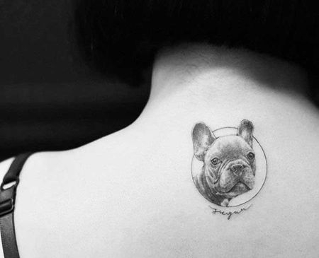 写实 后背 狗狗