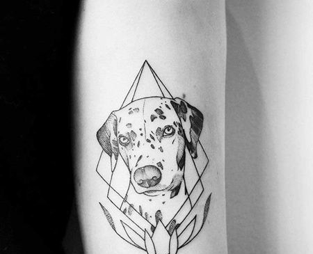 几何 大臂内侧 斑点狗