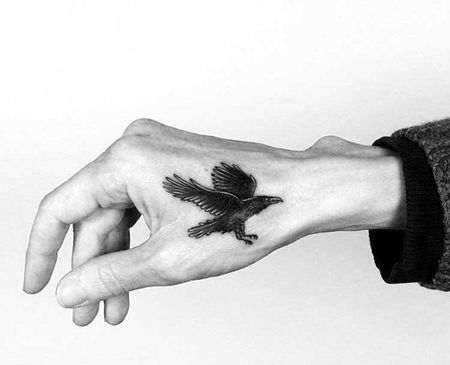 写实 虎口 老鹰