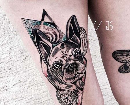 点刺 大腿前侧 狗