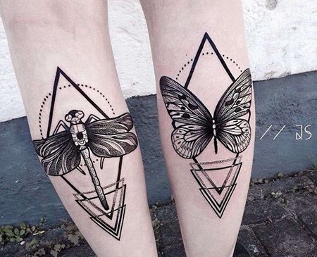 几何 小腿 蜻蜓 蝴蝶 昆虫