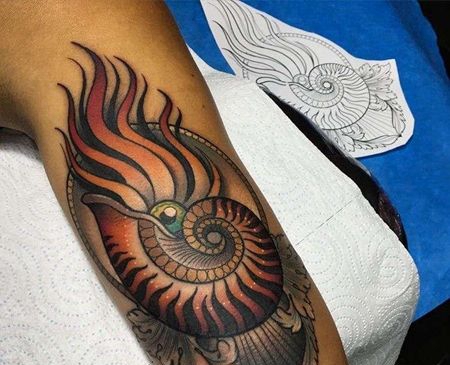 New School大臂鹦鹉螺纹身图案