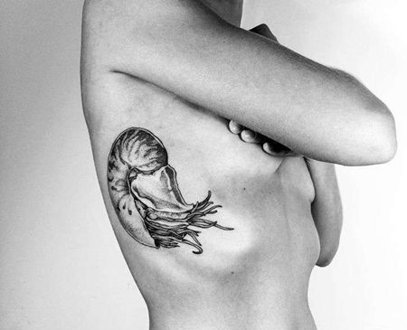 点刺侧腰鹦鹉螺纹身图案