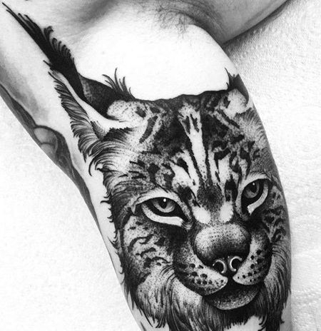 点线写实小臂猫纹身图案