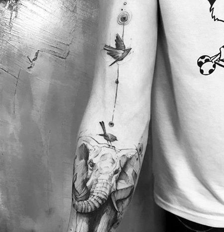 点线小臂鸟大象纹身图案